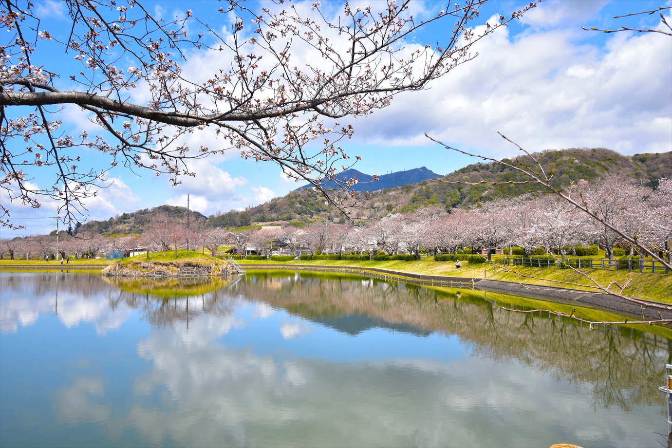 �k���r�̍�