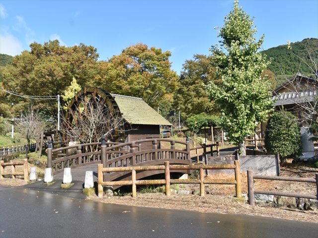 �����̗�