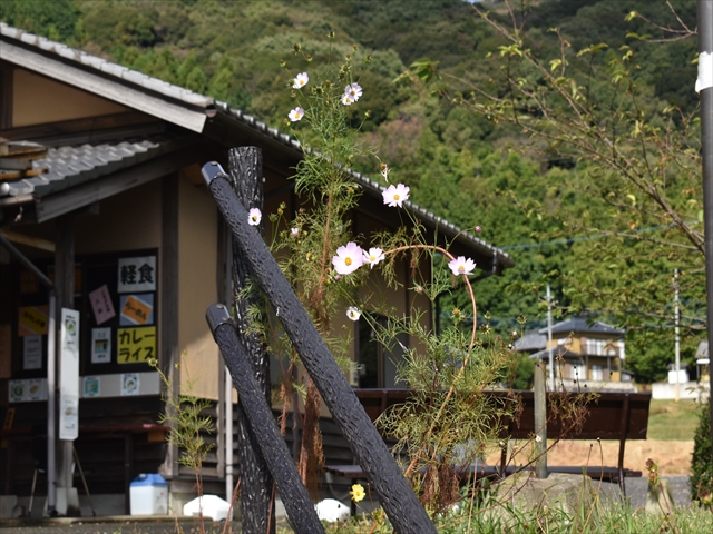 �����̊�