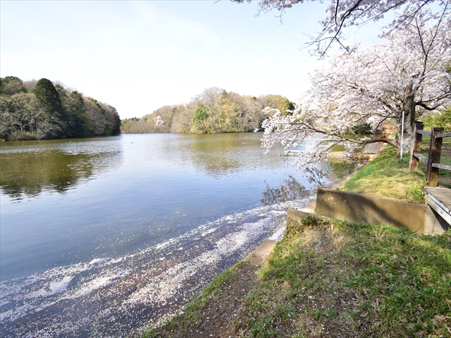 ���ˑ�r�̍�